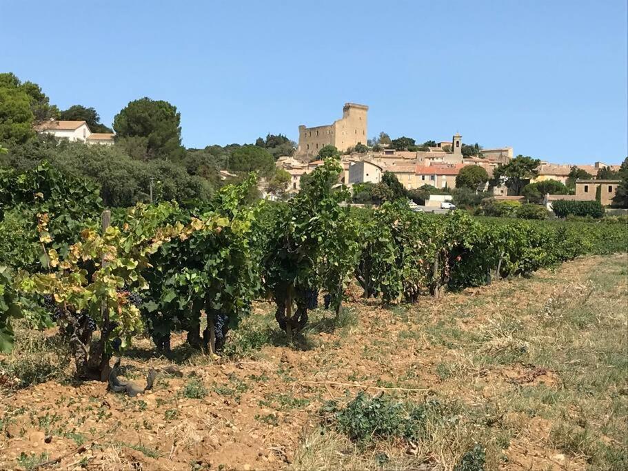 Gites En B&B Le Clos De La Cerise Châteauneuf-du-Pape 외부 사진